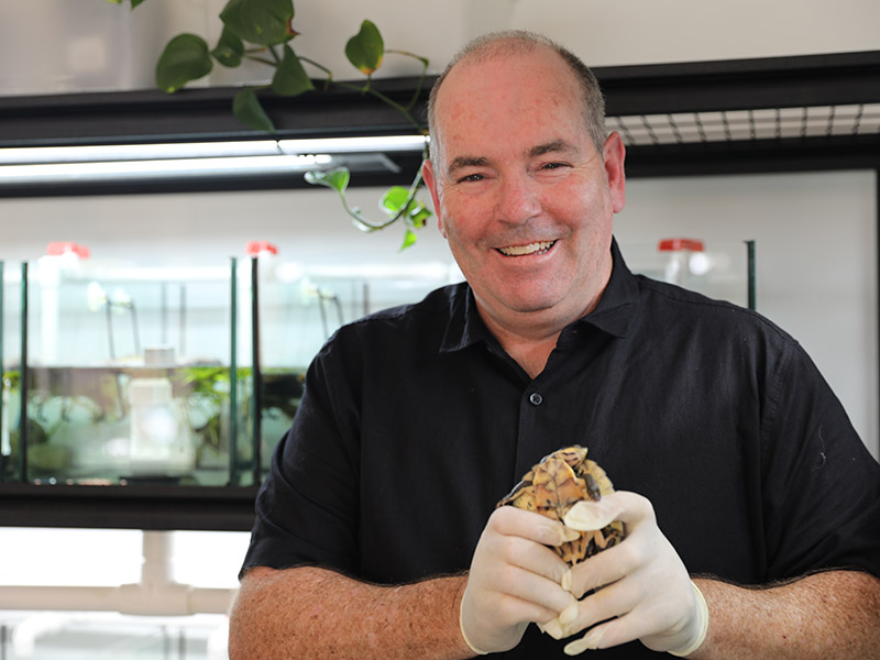 Dr Ricky Spencer (Western Sydney University) pictured holding an endangered Manning River Turtle at Conservation Ark. Image courtesy of Aussie Ark.
